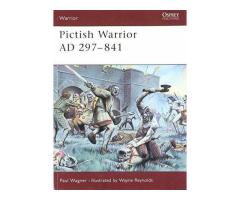 Pictish Warrior AD 297-81: No. 50